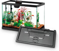 Aqueon Aquarium Starter Kit with Smart Clean Filtration and LED Lighting, Freshwater and Saltwater Fish, Perfect for Gouramis, Barbs, Bettas, 20-Gallon