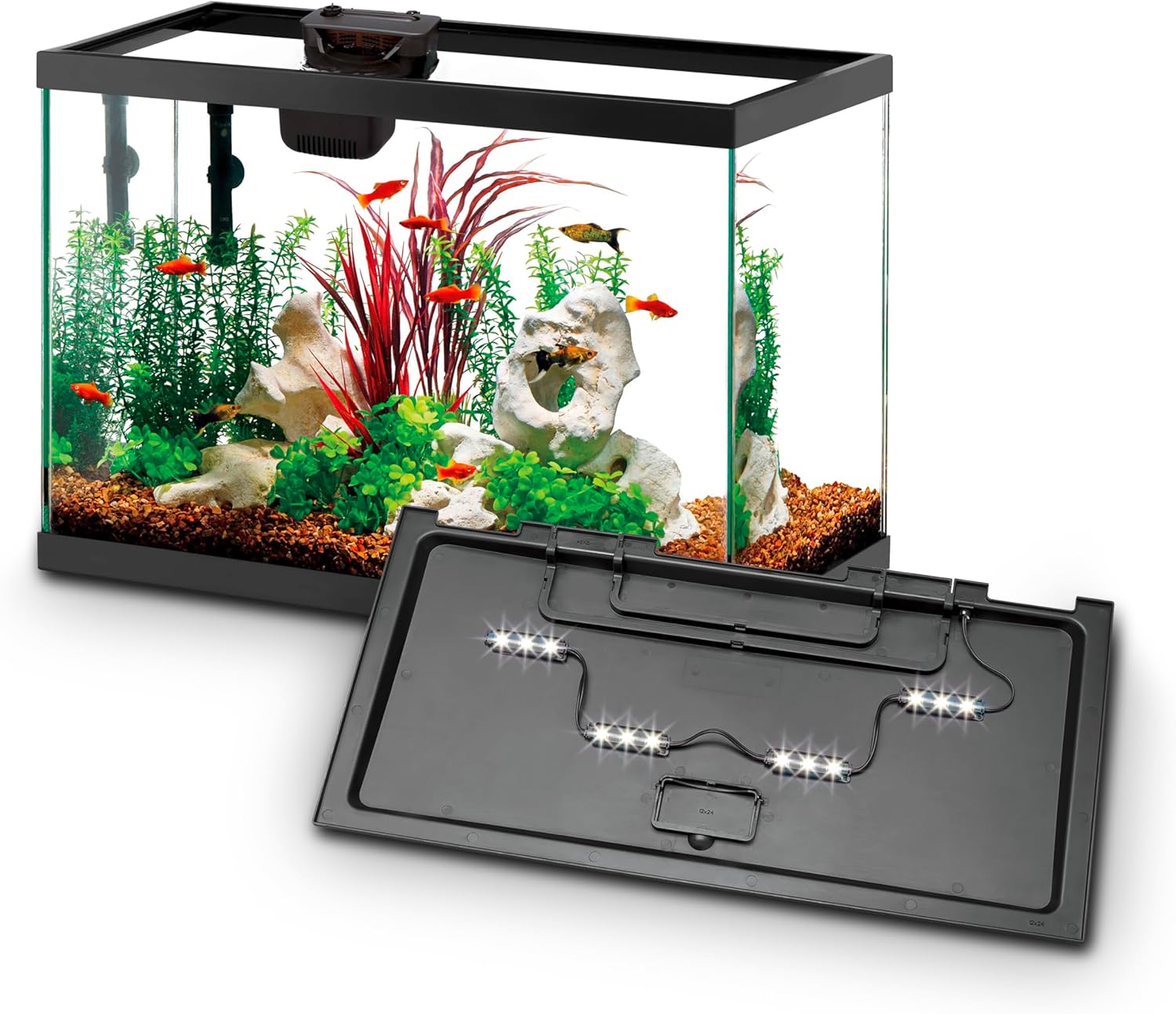Aqueon Aquarium Starter Kit with Smart Clean Filtration and LED Lighting, Freshwater and Saltwater Fish, Perfect for Gouramis, Barbs, Bettas, 20-Gallon
