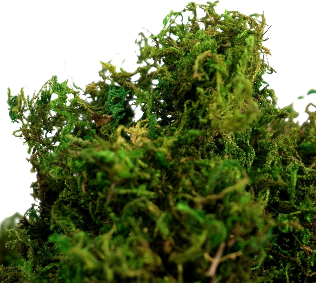 BYHER Artificial Moss Fake Green Grass for Centerpieces Home Kitchen Garden Decor (8OZ, Fresh)