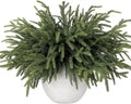 Ouddy Decor 16 Pcs Real Touch Christmas Norfolk Pine Stems, 18" Artificial Norfolk Pine Branches Faux Greenery Stems Fake Cedar Plants for Vase DIY Christmas Garland Wreath Indoor Outdoor Home Decor