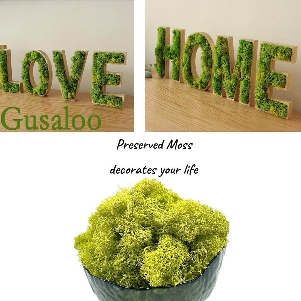 Moss Preserved Artificial Moss for Potted Plants Natural Fresh Green Moss for Craft Arts Floral Wall Decor Wedding Centerpieces Garden Terrariums Decoration - Lemon Yellow 3.5OZ