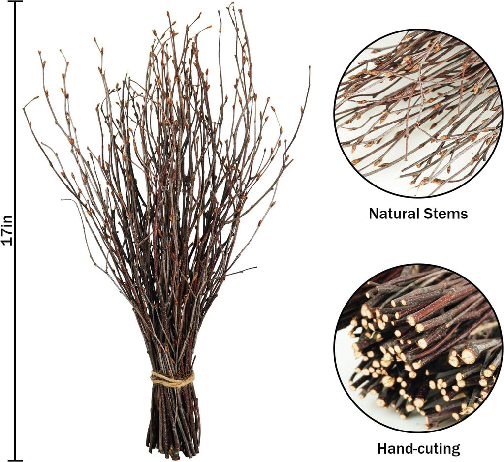 200 Pcs Real Dried Birch Branches, 17 Inch Natural Birch Twigs Tall Birch Tree Sticks for Decorative Vases, Crafts, DIY Floral Arrangements Wreath Wedding Centerpiece Home Decor