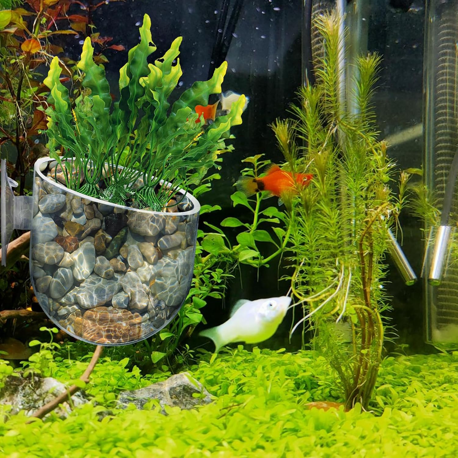 2Pcs Aquarium Plant Holder Suction Cup Planter Fish Tank Plant Pots Clear Acrylic Aquatic Plants Pot Aquarium Plants Cup for Fish Tank Aquascape Decorations Water Culture Decor