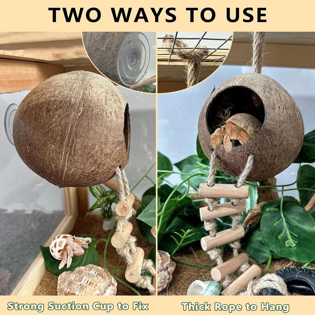 Hermit Crab Coconut Shell Hideout, Leopard Gecko Hide Habitat Cave with Ladder and 2 Sea Shells, Crested Gecko Tank Accessories with Moss for Reptiles,Hermit Crab Climbing Toys,5.3",5PCS