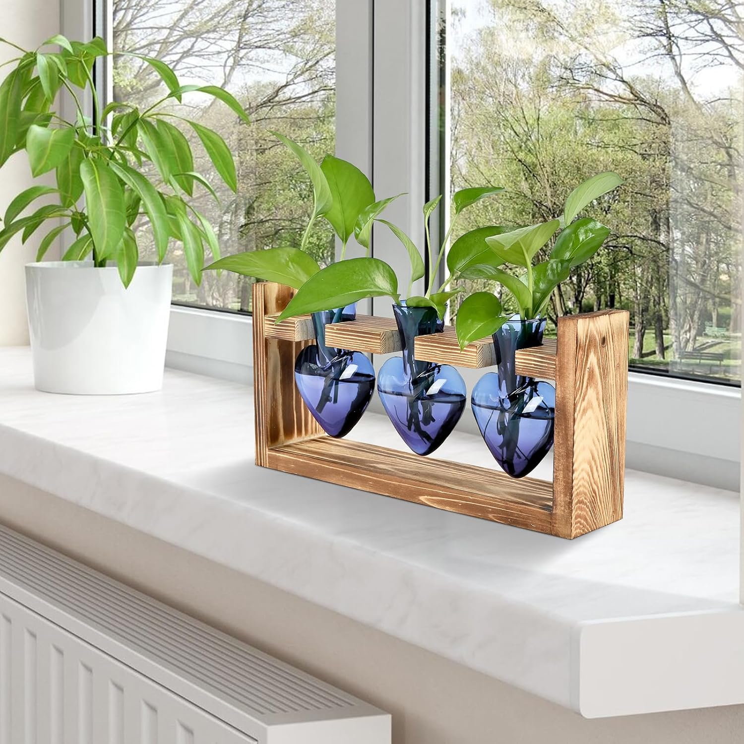 Plant Terrarium Propagation Stations Hydroponics Home Garden Decoration Gift for Women with Wooden Stand Heart Shaped Colored Glass Vase