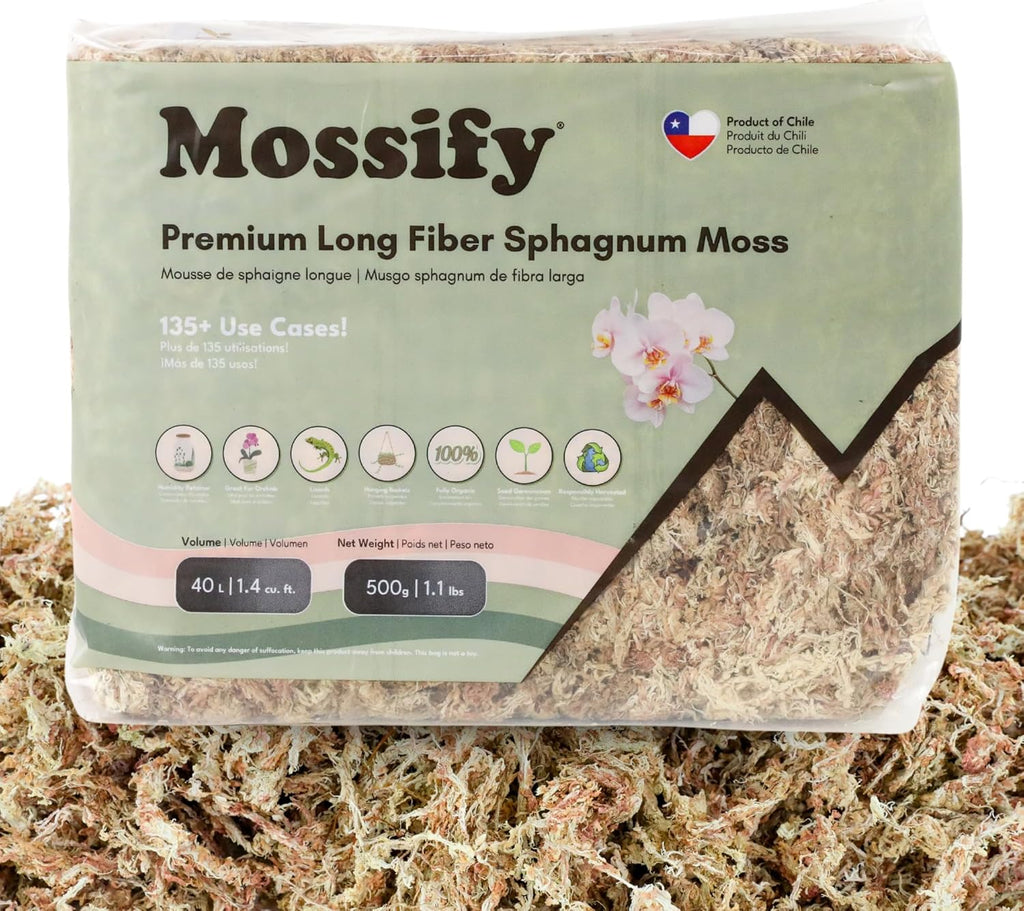 Mossify Premium Sphagnum Moss for Plants 500g, 1.1 lbs – Long Fiber Moss for Plants Indoor, Orchids, Terrariums, Gardening, Reptiles – Moisture Plant Moss for Propagation, Soil & Habitat Bedding