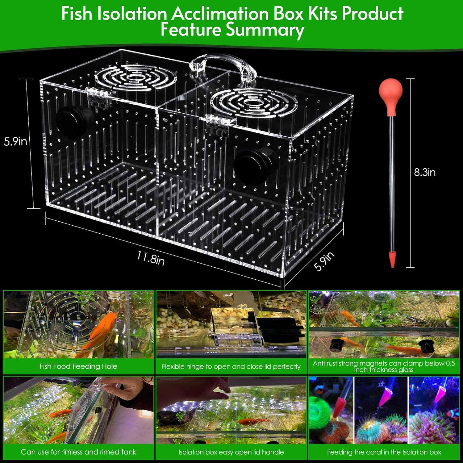 Magnet Acclimation Box for Saltwater Fish Quarantine Aquarium Isolation Box for Aquarium Fish Anemone Reef Coral