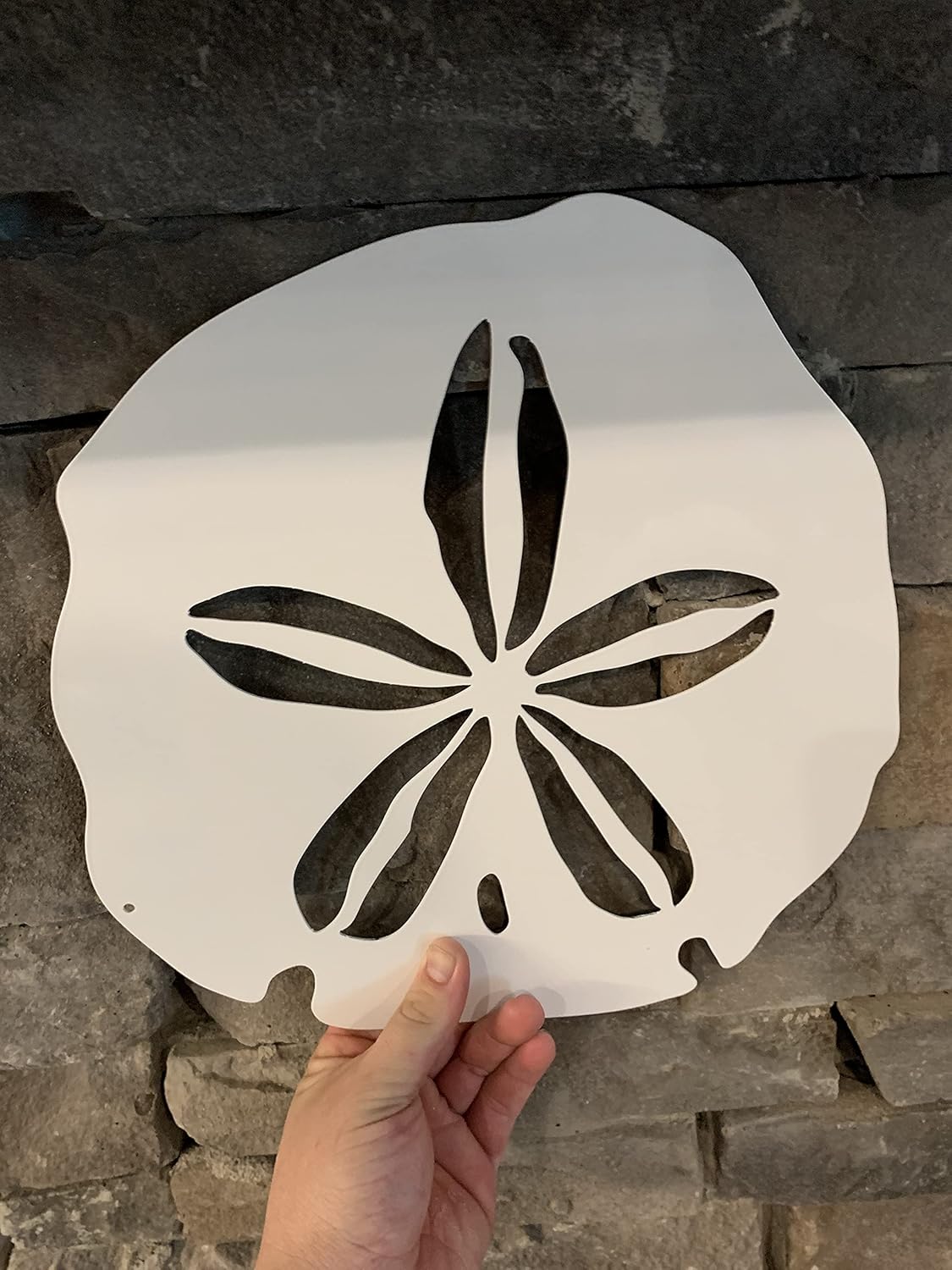Riverside Designs Coastal Sand Dollar Ocean Beach Metal Art Steel Wall Decor (12", White)