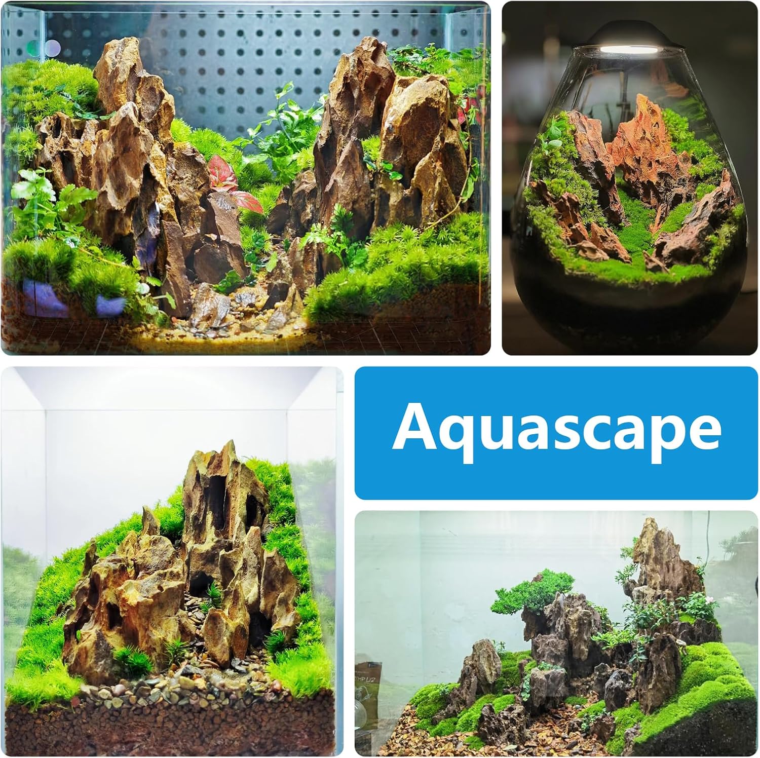 Natural Rock Stone 20lb Aquarium Rocks for Aquarium Landscaping Models and PH Neutral Rocks Aquascaping Stones for Terrariums-2-8 inches