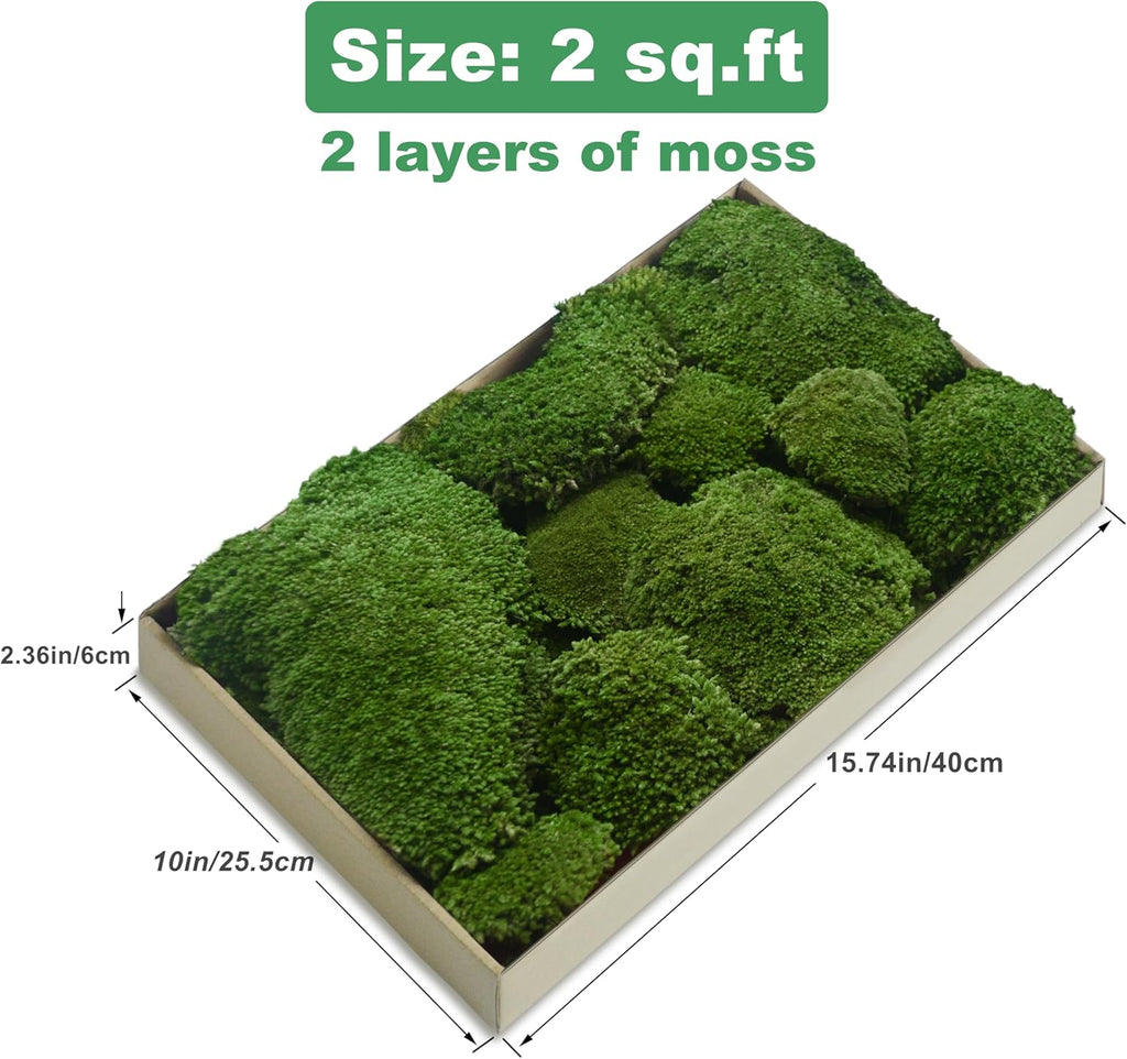 TurelinnG Preserved Moss Decor - Real Forest Moss, Moss for Crafts, Flexible for DIY Crafts, Home, Wall, Terrarium, Art Projects(Natural Green 2 sq.ft)