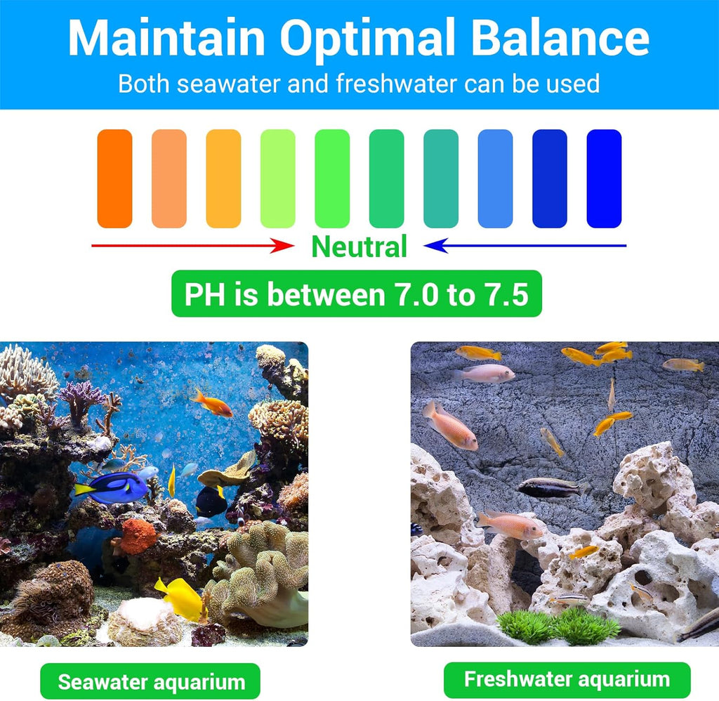 Segarty Filter Media,12 in 1 Bio Media for Aquarium Sump Filter Ceramic Rings Activated Carbon Bio Balls Freshwater Marine Biological Filter Media for Koi Fish Tank Pond Canister (1.1lb with Mesh Bag)