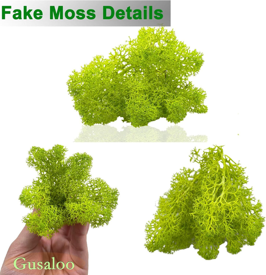 Preserved 5oz Moss Artificial Moss Natural Fresh Green Moss for Craft Handicraft Arts Floral Project Wall Decor Table Decor Wedding Centerpieces Garden Terrariums Decoration