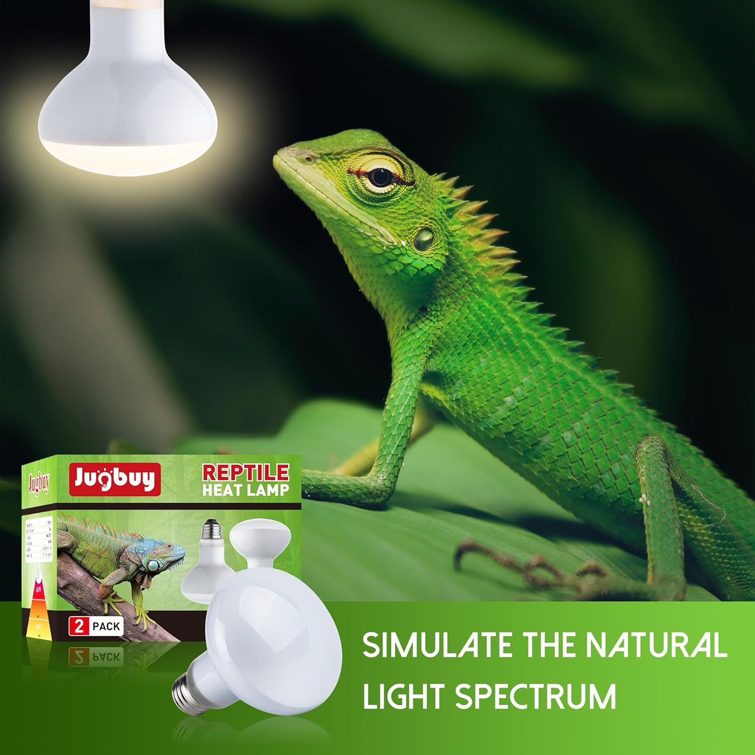 Reptile Heat Lamp Bulb, 100 Watt UVA Daylight Basking Spot Light for Bearded Dragon, Turtle, Lizard, Snake, Tortoise, Chameleon, Amphibians - 2 Pack