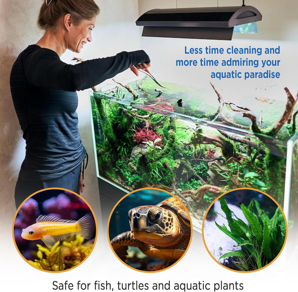 Fish Tank Rocks for Enhancing Water Clarity with Your Regular Cleaning Routine, Fish Friendly Aquarium Rocks, All Natural Aquarium Decor, Small, Up to 750 Gallons