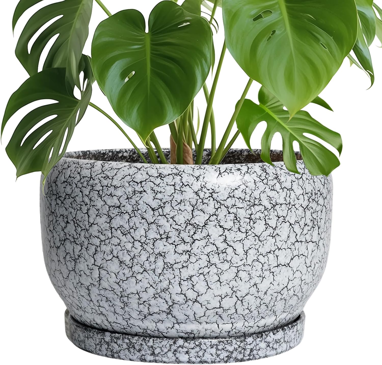 SQOWL Ceramic Planters - 10 Inch Ceramic Flower Pot with Drainage Hole and Saucer, Decorative Plant Pot Indoor, Round Large Planter Outdoor, Bathroom Decor, Gifts for Plant Lovers, Black and White