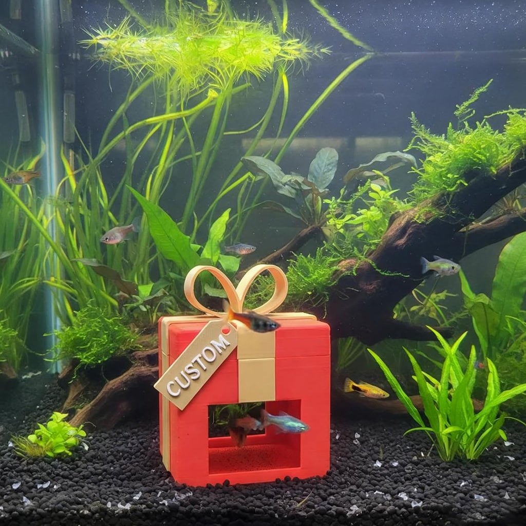Custom Aquarium Hide – Festive Box Decoration for Bettas, Shrimp & Small Fish | Safe Cave Shelter | Aquarium Decoration