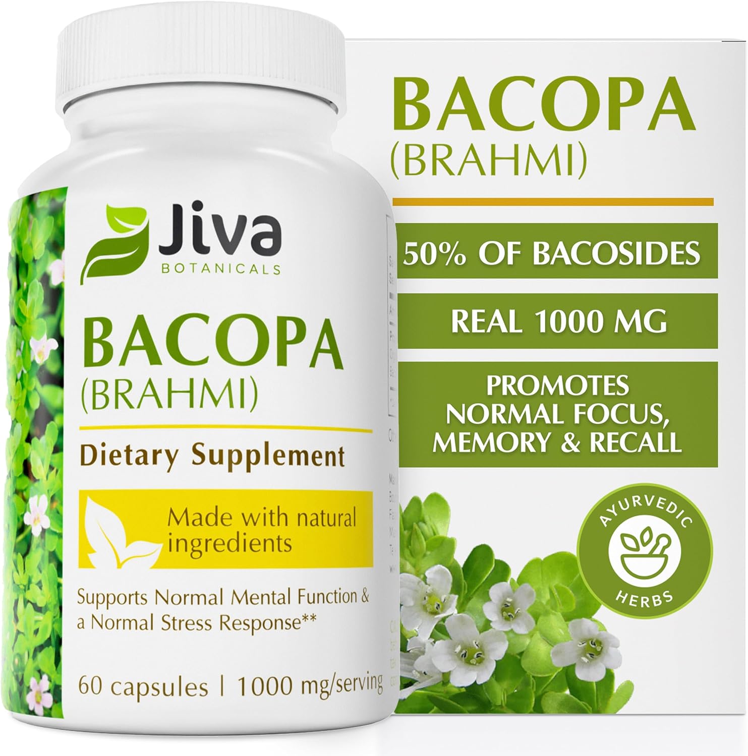 Jiva Botanicals Bacopa Monnieri Supplement Pure 1000mg per Serving - High Potency Bacopa Monnieri (Brahmi) & Extract for Normal Brain, Focus, & Memory Support - Ayurvedic Herbs - 60 Capsules