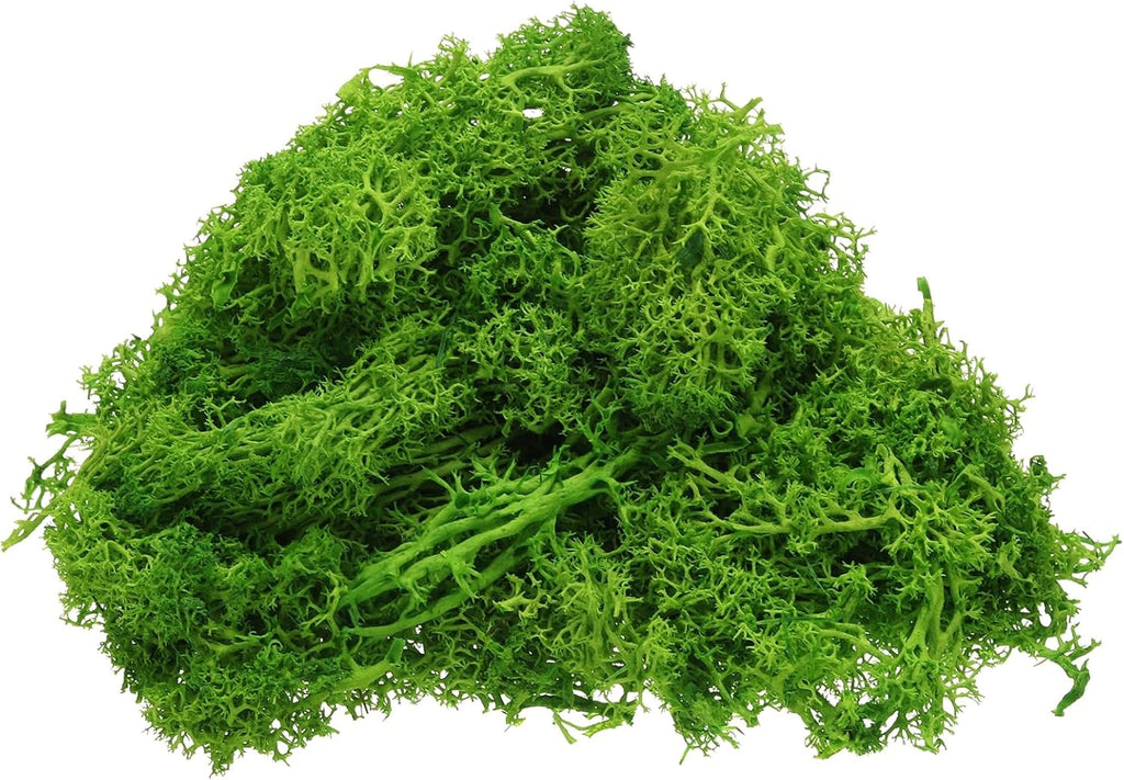 uxcell Preserved Reindeer Moss, 4oz Fake Moss for Crafts, Terrariums, Potted Plants, Centerpieces, Fairy Gardens (Light Green)