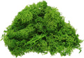 uxcell Preserved Reindeer Moss, 4oz Fake Moss for Crafts, Terrariums, Potted Plants, Centerpieces, Fairy Gardens (Light Green)