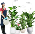 Wolezek Grow Lights for Indoor Plants Full Spectrum, 80 LEDs 3 Colors, 65in Large Plant Lights for Indoor Growing with 360°Gooseneck, 6/12/16H Timer, 5 Brightness, Height Adjustable, White 3 Pack