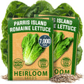 HOME GROWN Romaine Lettuce Seeds, Paris Island Bulk Pack, 7000+ Lettuce Seeds for Planting, High Germination Heirloom Vegetable Seeds,Works Indoor in Hydroponic Garden and Outdoor