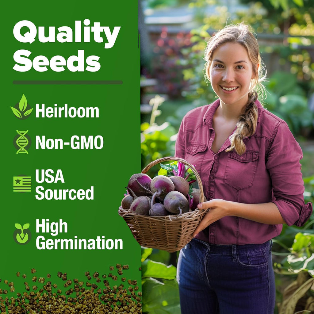 HOME GROWN Detroit Dark Red Beet Seeds 2 Pack(Beta vulgaris) 1000+ Heirloom Seeds with High Germination – Sweet,Nutrient-Rich Beets for Easy Planting in Garden Beds or Containers