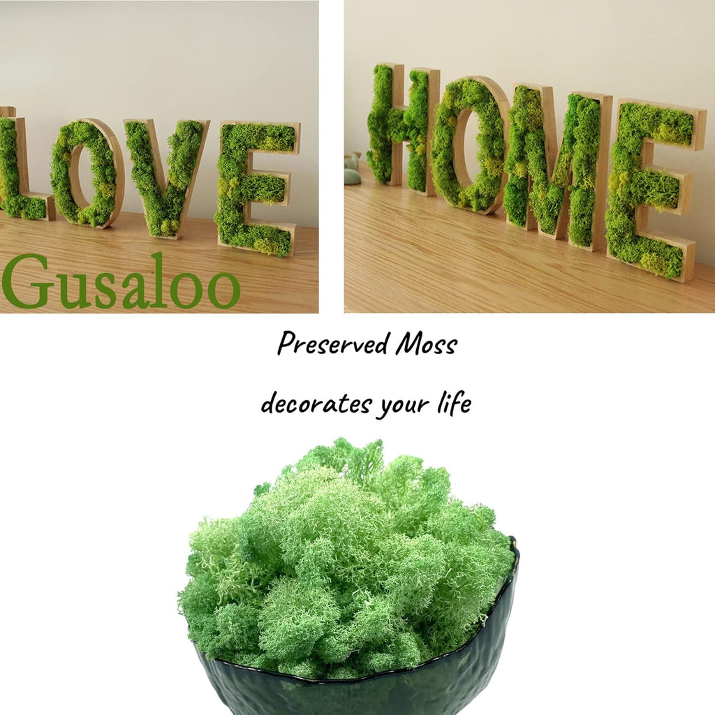 Moss Preserved Moss - Natural Fresh Green for Crafts, Arts, Floral Projects, Wall & Table Decor, Wedding Centerpieces, Garden, Artificial Terrariums - Mint-Green 3.5OZ