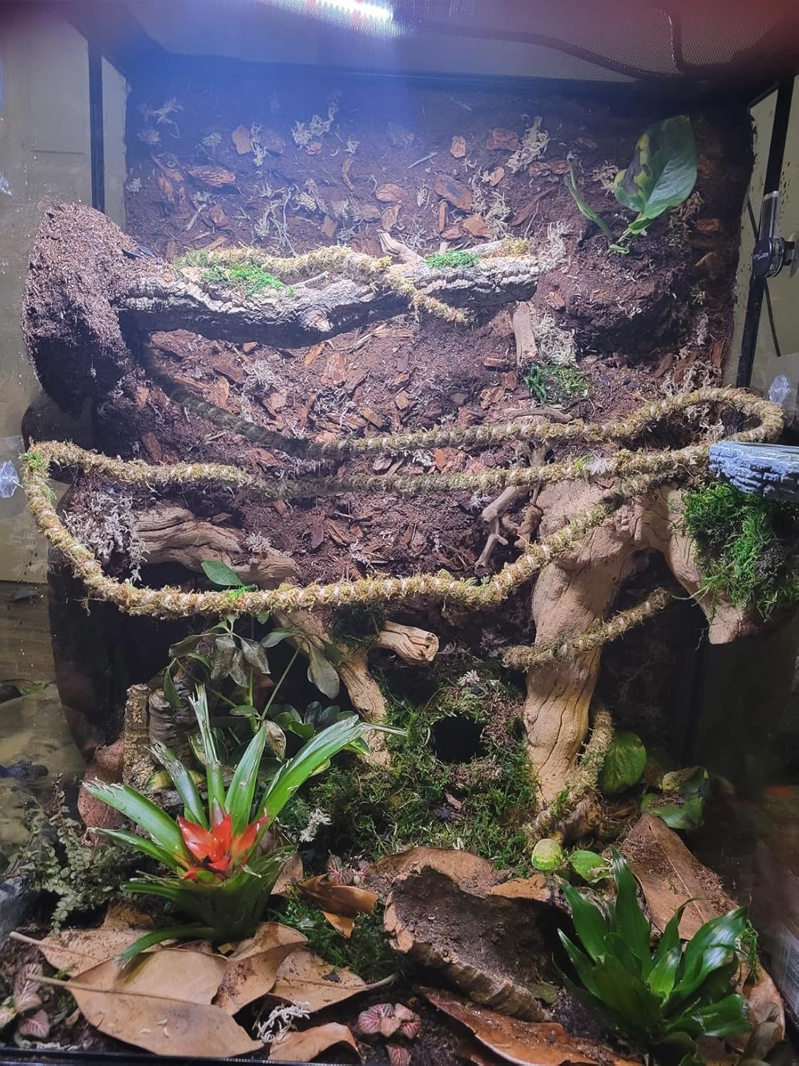 Galápagos (05346) Mossy Cave Hide, 4", Green