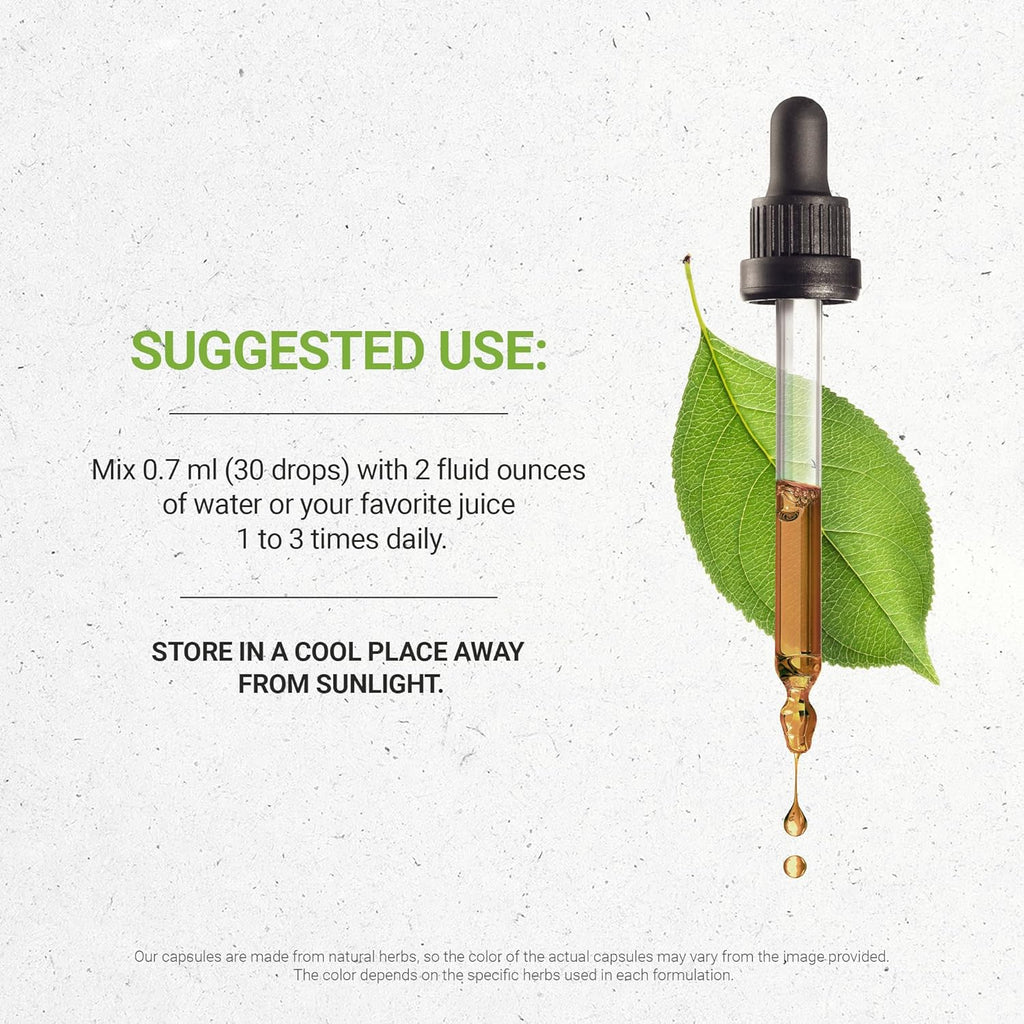 Bacopa USDA Organic | Alcohol-FREE Extract, High-Potency Herbal Drops, Relaxation, Positive Cognitive Effect | Made from 100% Certified Organic Bacopa (Bacopa Monnieri) Dried Herb 2 oz