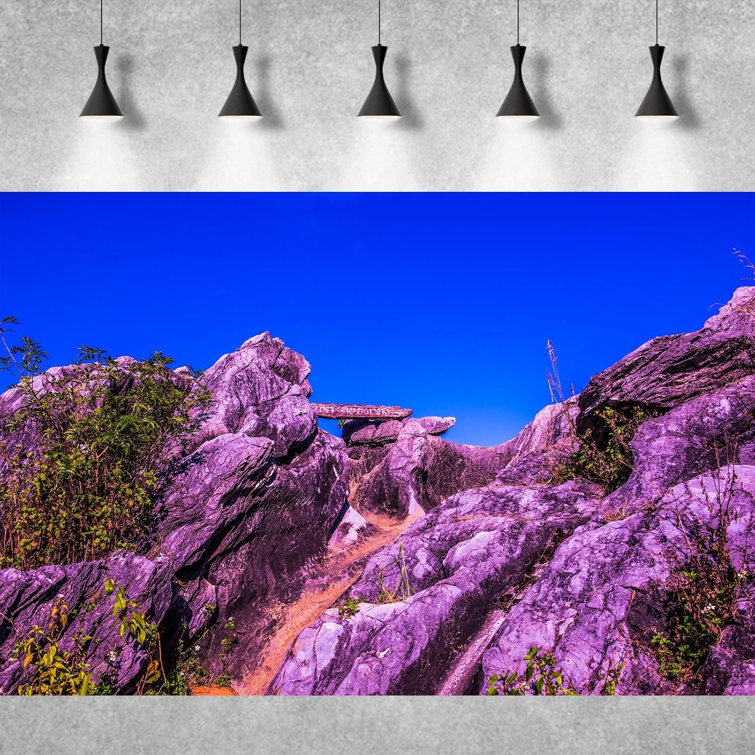 Reptile Habitat Background Blue Sky Rock Mountain Gobi Terrarium Background Eroded Stone Mountains Jungle Plants Aquarium Background Desert Blue Sky Mountain Fish Tank Background Vinyl 30x12in