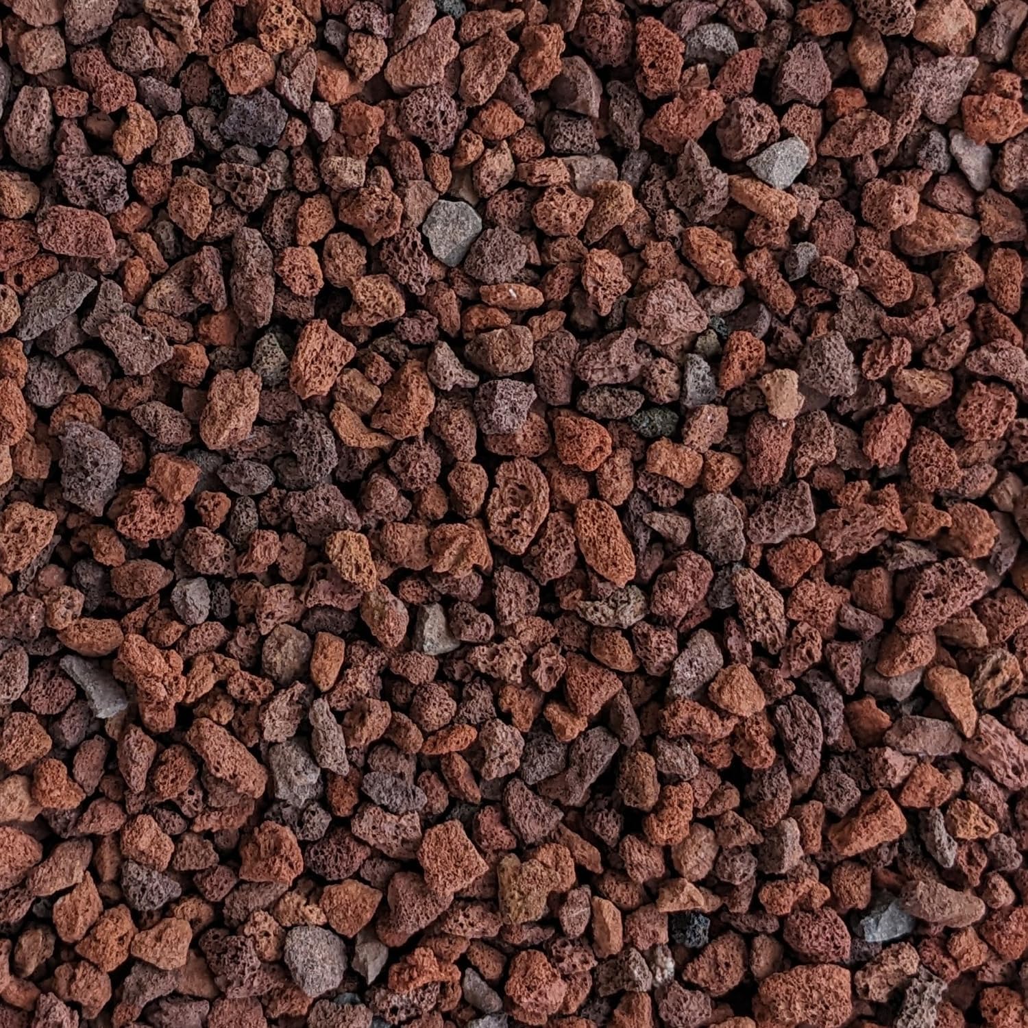 Red Lava Rocks for Plants Natural Horticultural Volcanic Rock (1/4" Size) (Mined in USA) (10-lb Bag)