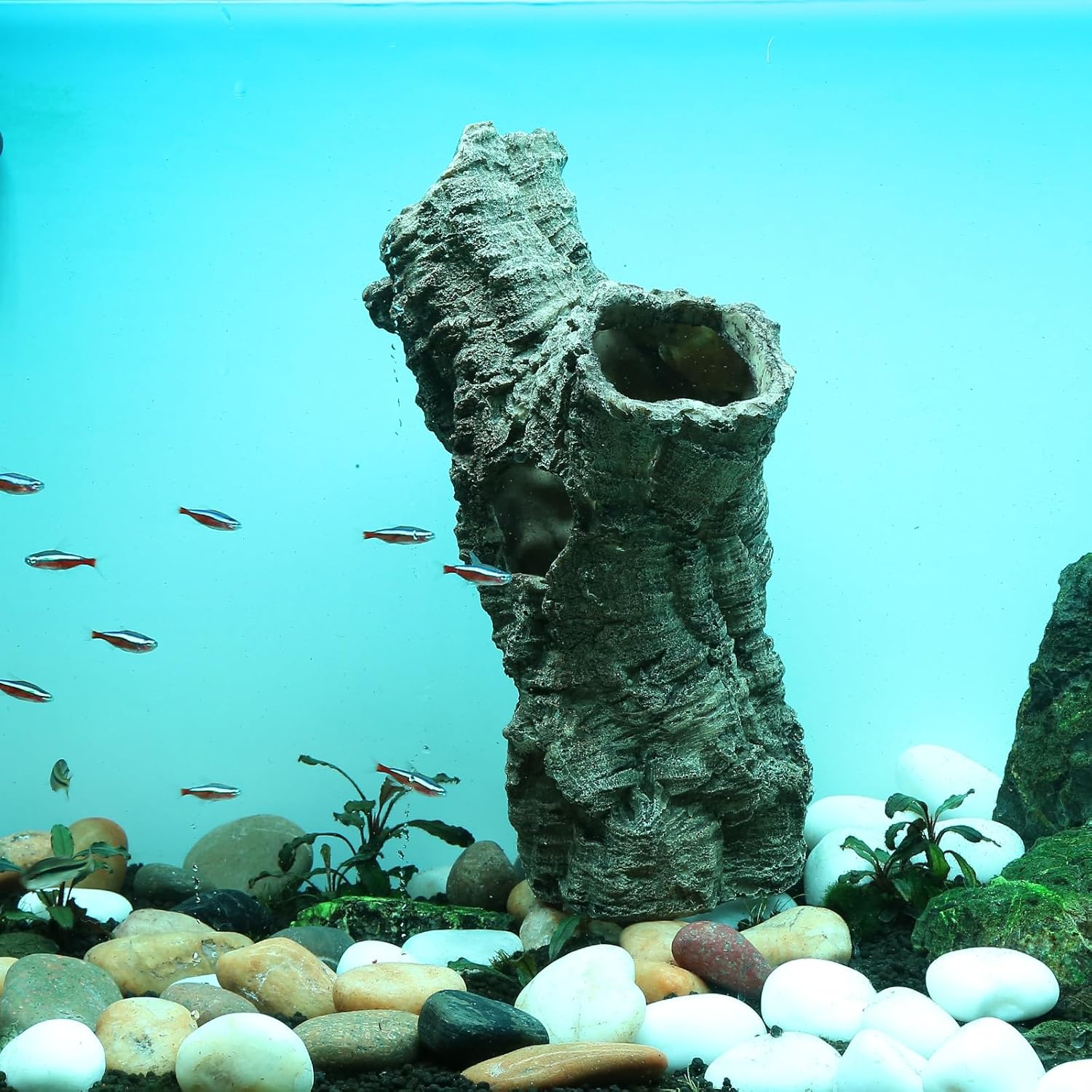 Large Reptile Hide, 12”, Aquarium Decor, Territorial Fish Hideaway, Hideout House, Reptile Decoration Fish Tank dec