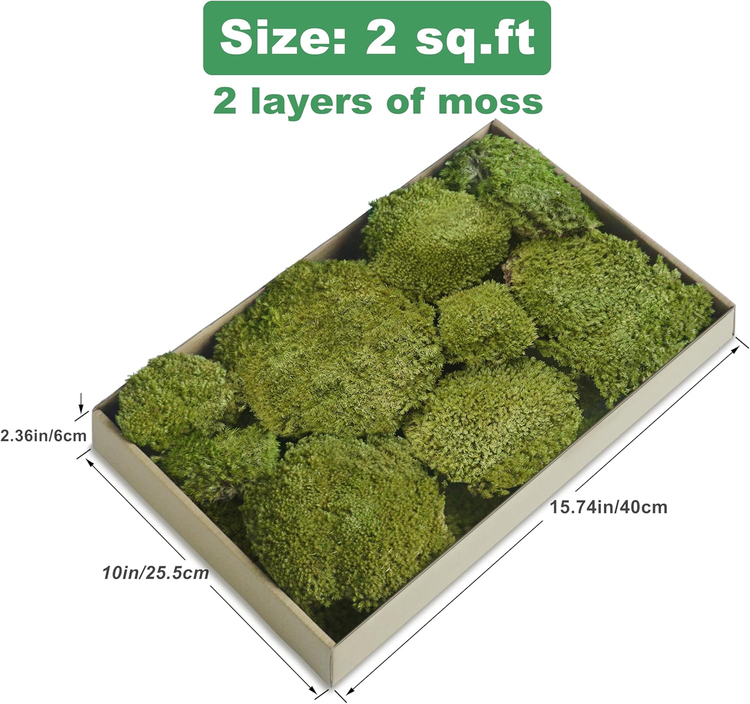 TurelinnG Preserved Moss Decor - Real Forest Moss, Moss for Crafts, Flexible for DIY Crafts, Home, Wall, Terrarium, Art Projects(Yellow Green 2 sq.ft)
