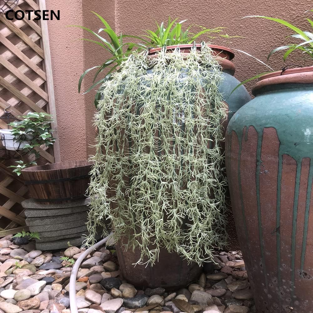 5 Pack Spanish Moss Faux Greenery Moss Fake Vines Moss Hanging Plants for Potted Plants Artificial Hanging Moss Garland Used for Family Indoor and Outdoor Gardens Decoration