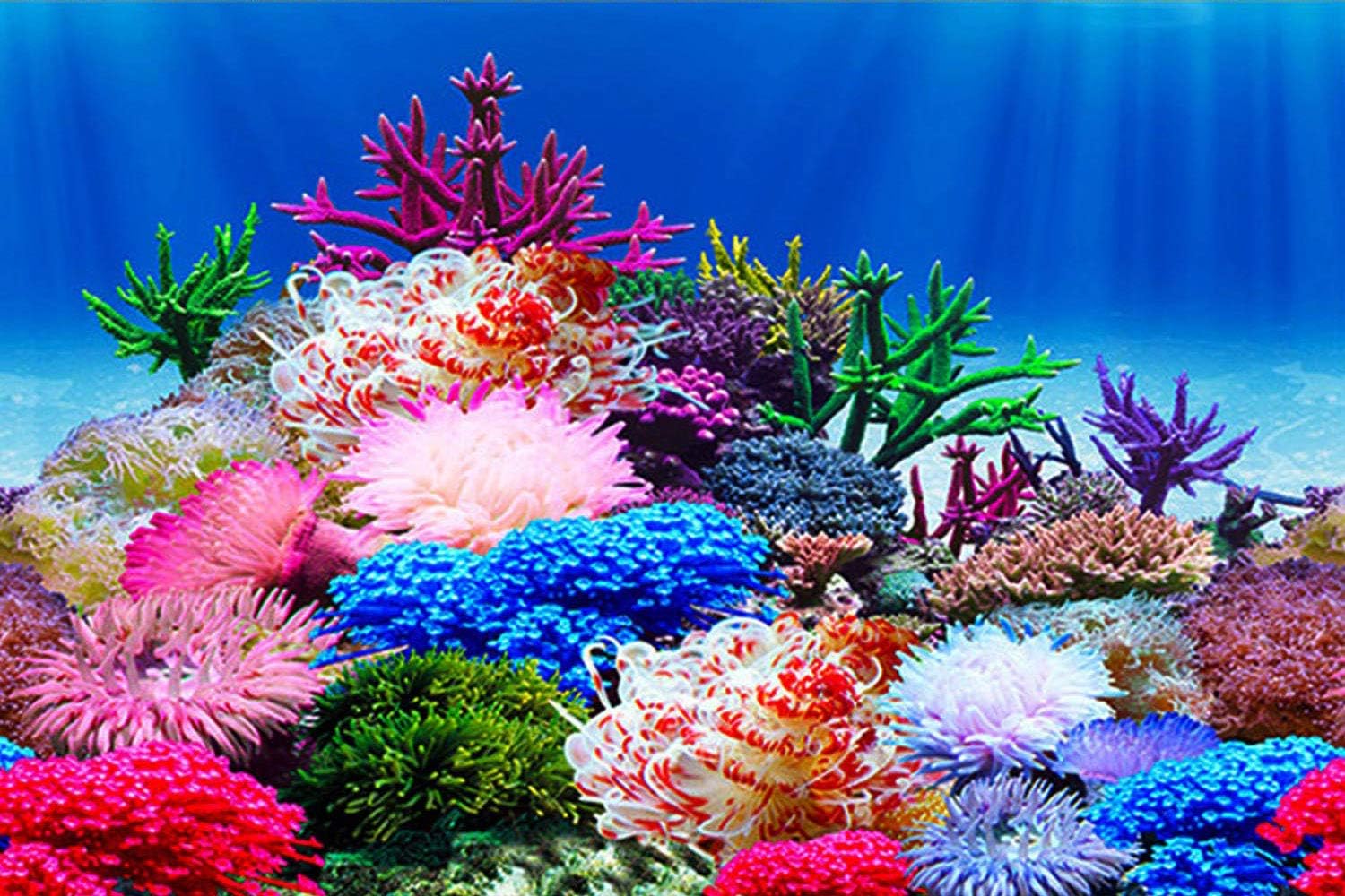 ELEBOX Aquarium Background Poster, Undersea Water Plants Sea Anemone Coral Aquarium Decor Background Double Sides Fish Tank Background Sticker Decorations 10 Gallon 20 Gallon Tank 11.8" x16.5"