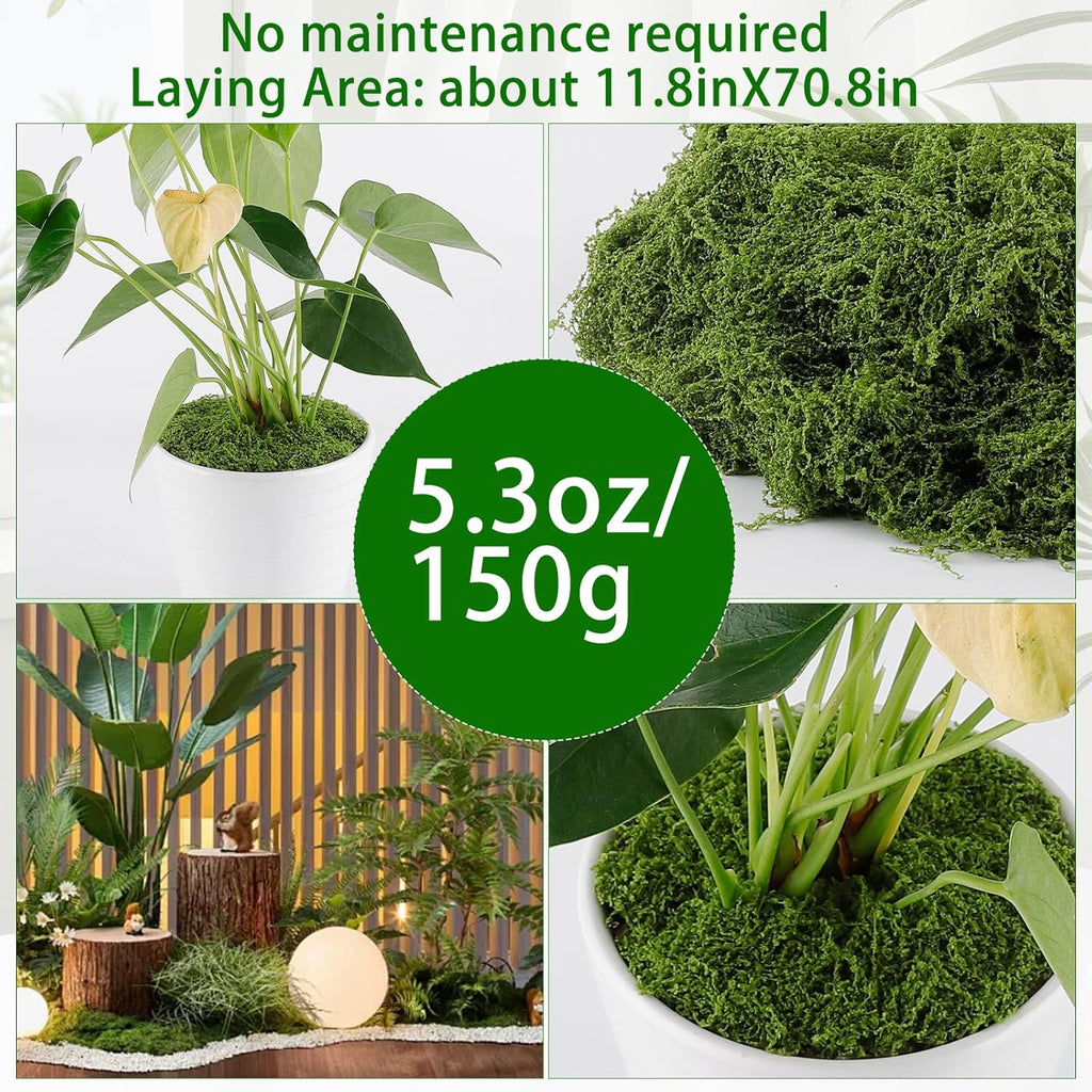 Yomirduy Artificial Moss for Crafts, 5.3OZ Fake Green Moss for Potted Plants, Faux Moss Decor for DIY Decorative, Walls,Table Centerpieces Decor Fairy Garden Model Making (150g)