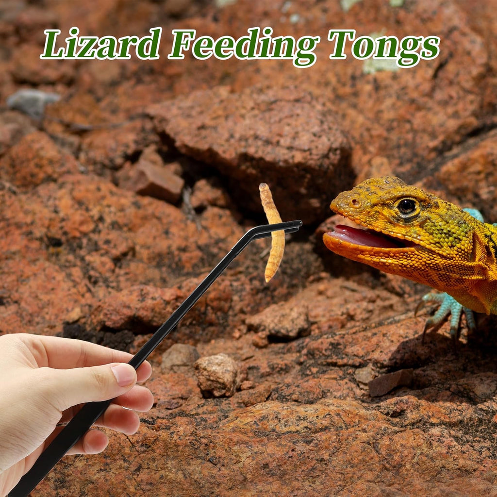 Reptile Feeding Tongs, Stainless Steel Lizard Feeding Tongs, Aquarium Curved Feeding Tweezers for Reptiles with Rubber Tip, Terrarium Feeding Tongs for Gecko, 10.63" Length, Black