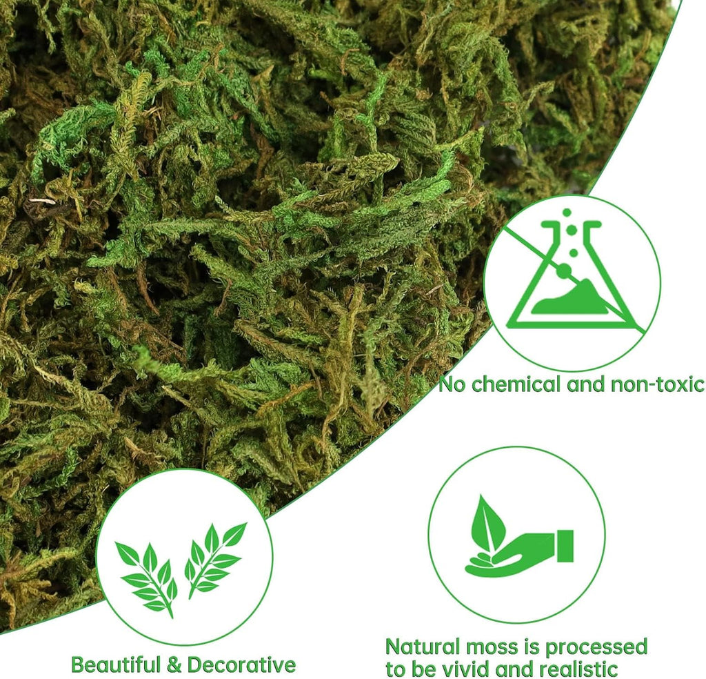 YUNVI 5 OZ Large Capacity Artificial Moss for Potted Plants,Natural Fake Moss Grass for Plants Indoor,Craft and Greenery Bulk for Hamsters(Fresh Green)