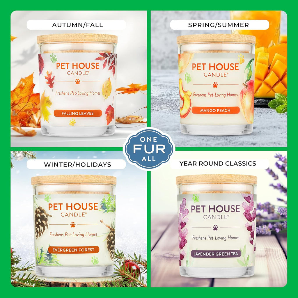One Fur All Pet House Christmas Candles, Long Lasting, Clean Burning, Soy Wax Scented Pet Friendly Candles for Odor, Gingerbread Cookies, 2 Pack