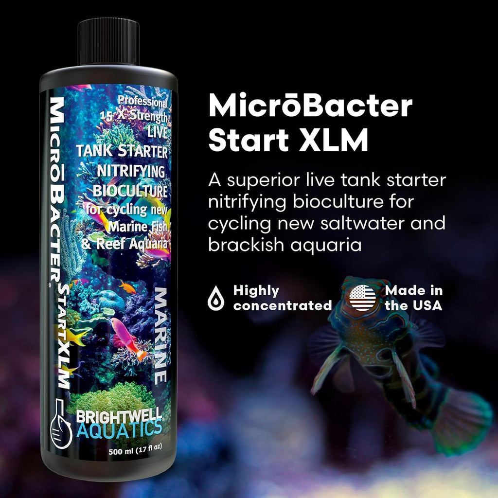 Brightwell Aquatics MicroBacter Start XLM - Concentrated Freshwater Nitrifying Bacteria - Quick Start Fish Tank Starter, Lift Microbe Levels & Water Filtering - Aquarium Water Treatments, 16.9 fl oz