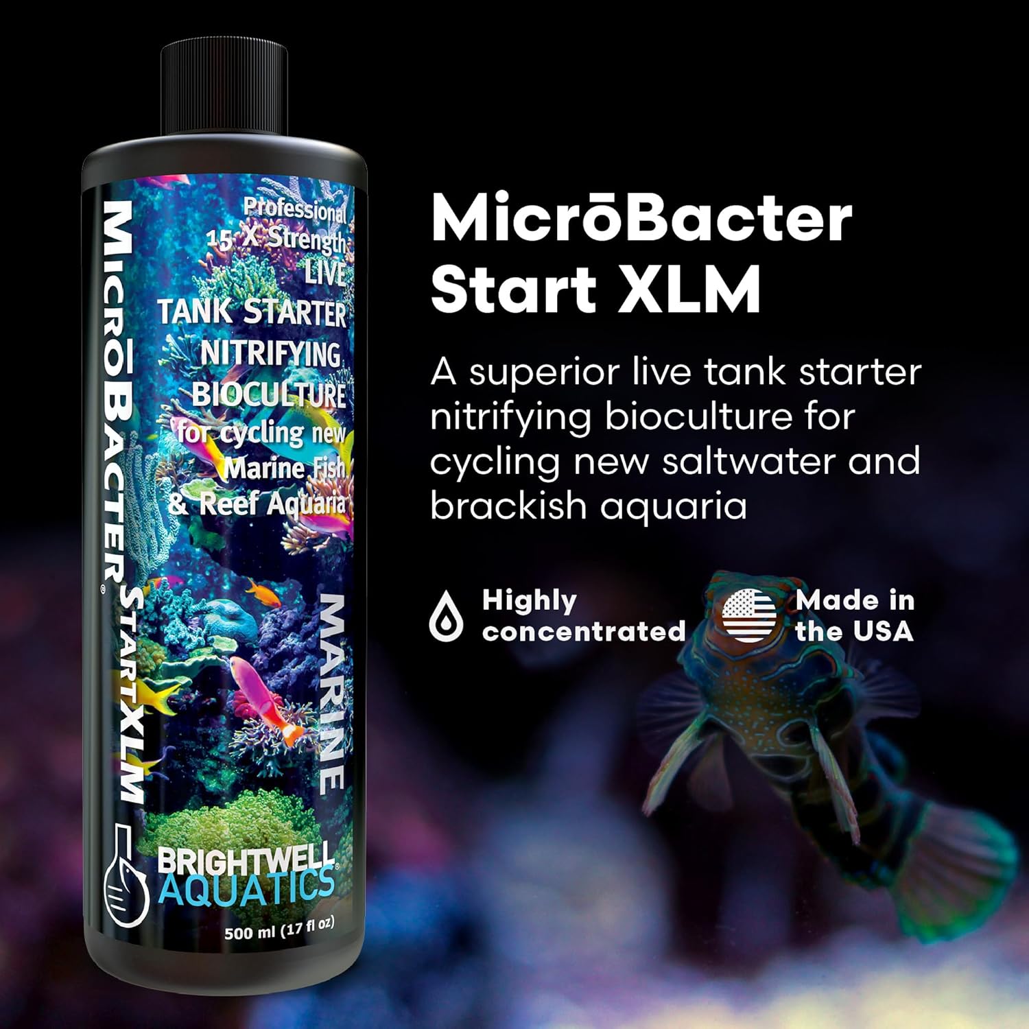 Brightwell Aquatics MicroBacter Start XLM - Concentrated Freshwater Nitrifying Bacteria - Quick Start Fish Tank Starter, Lift Microbe Levels & Water Filtering - Aquarium Water Treatments, 16.9 fl oz