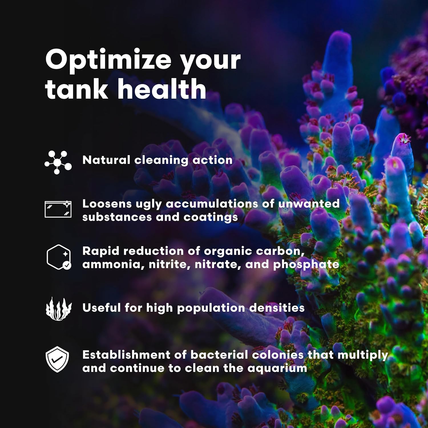 Brightwell Aquatics MicroBacter Clean - Microbial Culture & Enzyme Blend Fish Tank Cleaner - Cleans Live Rock Surfaces for Saltwater Fish Habitats - Aquarium Water Treatments, 67.6 fl oz