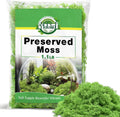 Halatool Preserved Moss for Crafts, Green Reindeer Moss for DIY Decorating Art Potted Fairy Garden Accessories Table Centerpieces Wedding Christmas Fairy Party Decor(1.1 LB)