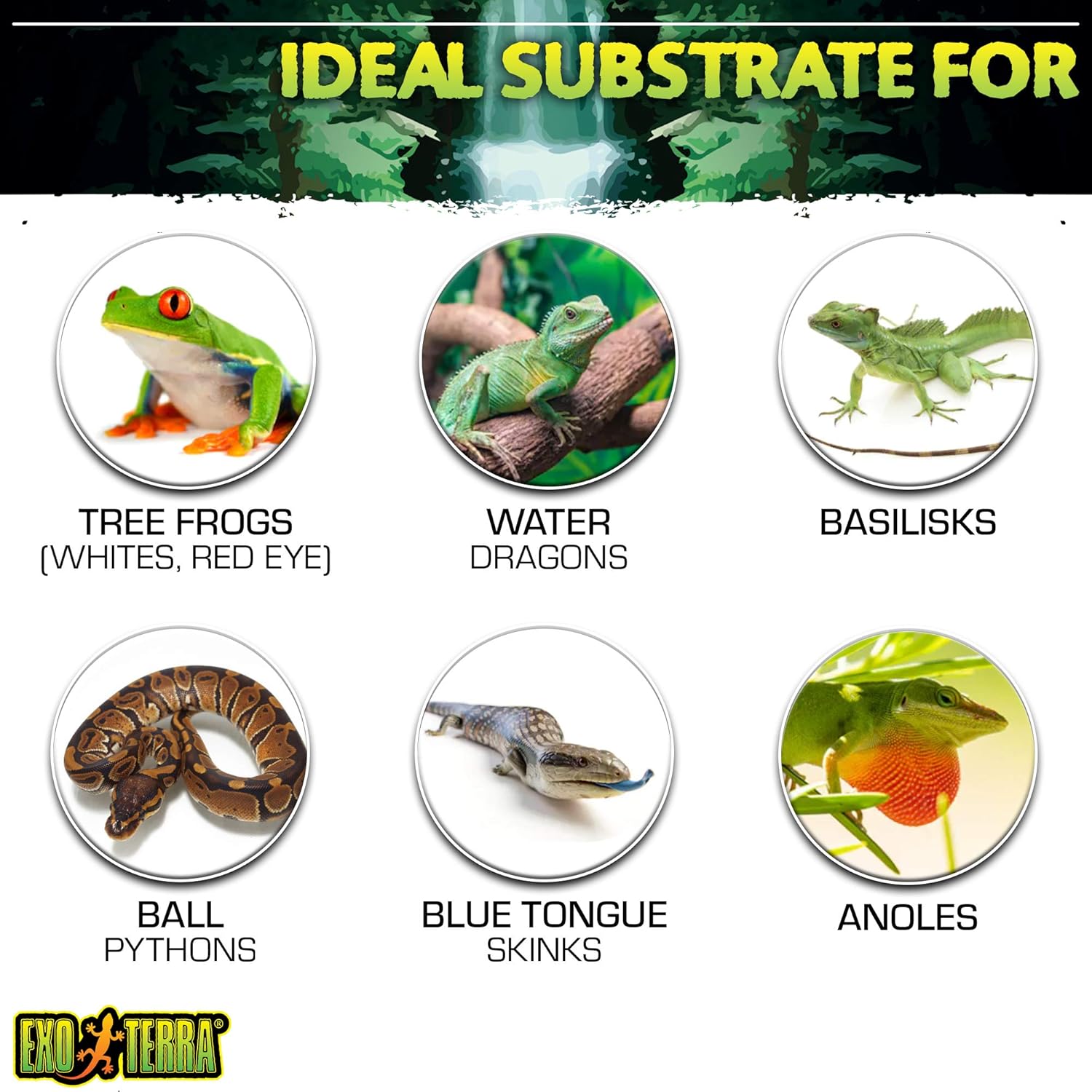 Exo Terra Coco Husk Terrarium Substrate, 8-Quart (Pack of 3)