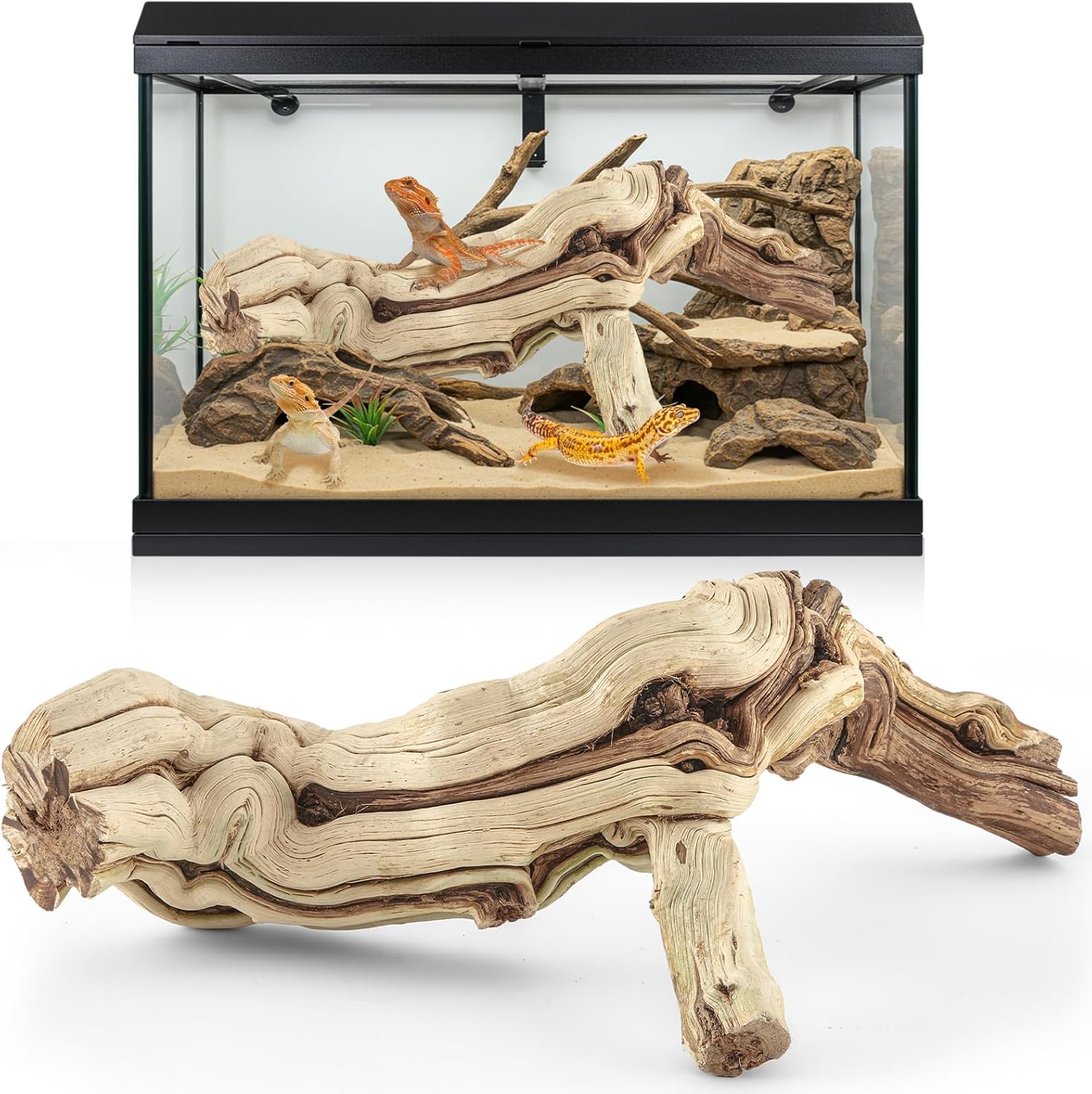 Janinka 10-12" Length Large Wood Reptile Branch for Bearded Dragon Driftwood Reptile Climbing Habitat Decoration for Terrarium Tree Trunk Ornament Gecko Frog Chameleon Spider