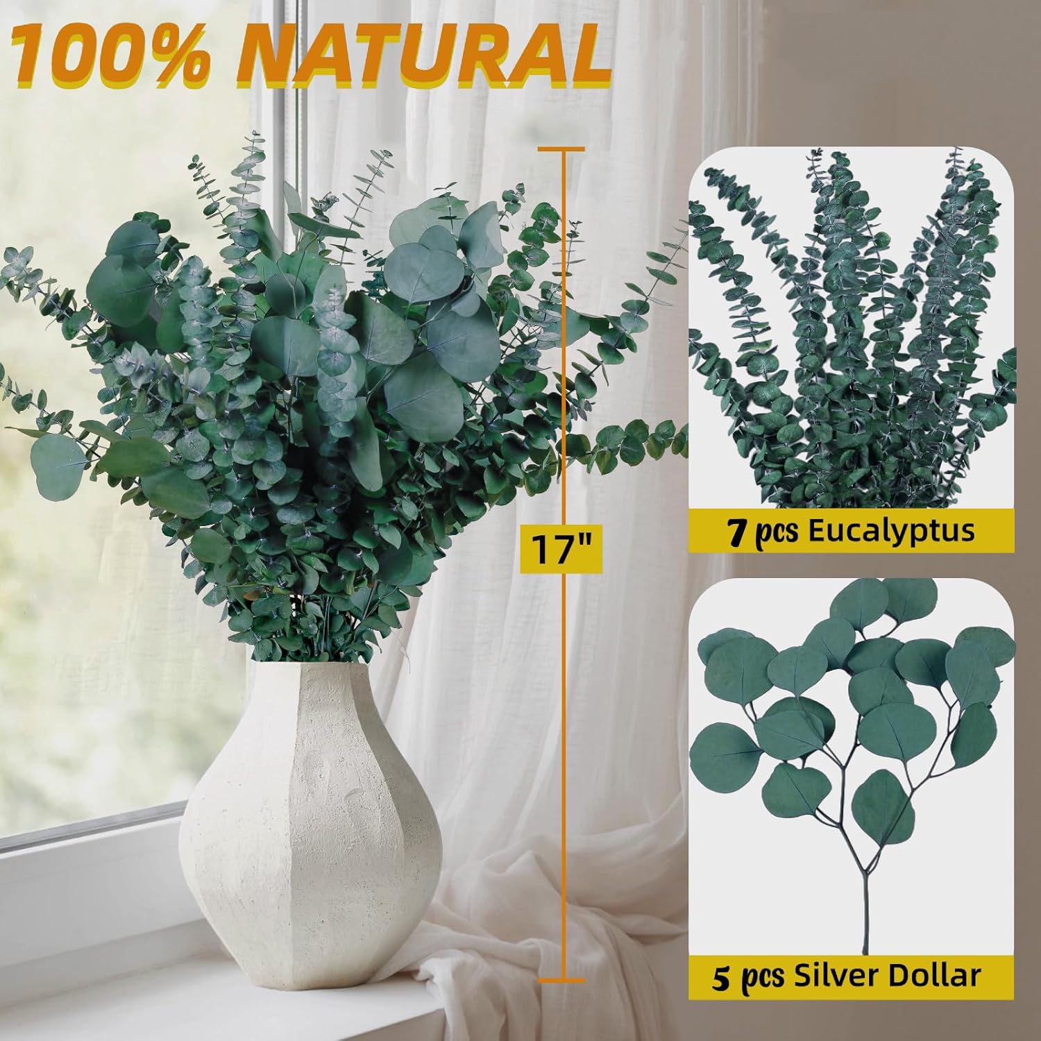 12 Pcs Large Dried Eucalyptus & Silver Dollar Leaves Bundle - Natural Real Fresh Plants, 17" Preserved Eucalyptus Stems for Shower Hanging, Bathroom Decor, Garland, Greenery Plant