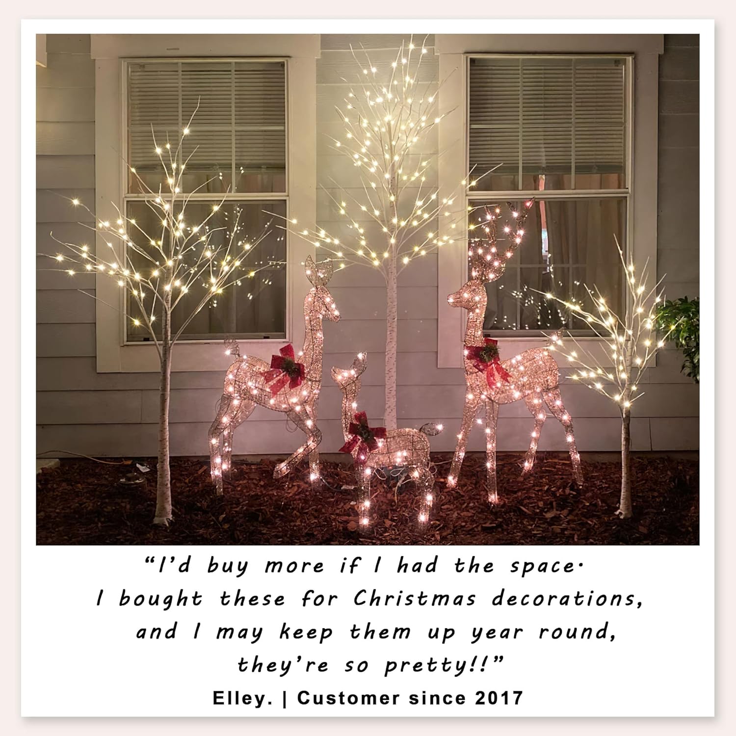 2 Pack 4FT Lighted Birch Tree 48 LED Artificial Tree for Decoration Inside and Outside, Home Patio Wedding Festival Christmas Decor, Warm White