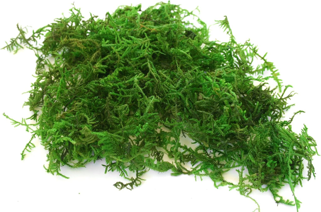 SuperMoss (23806) Mountain Moss – Natural Green Sphagnum Moss for Soil Top Dressing, Potting Mix, Garden Decor, and Craft Projects, 2,588 cu in, Preserved