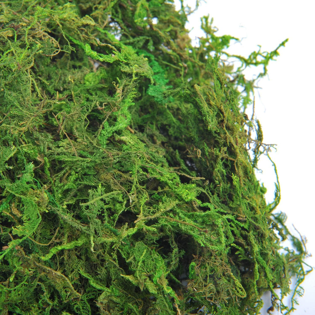 Fake Moss, 10.5oz Aftificial Decorative Green Grass for Centerpieces, Plant, Crafts, Flowers