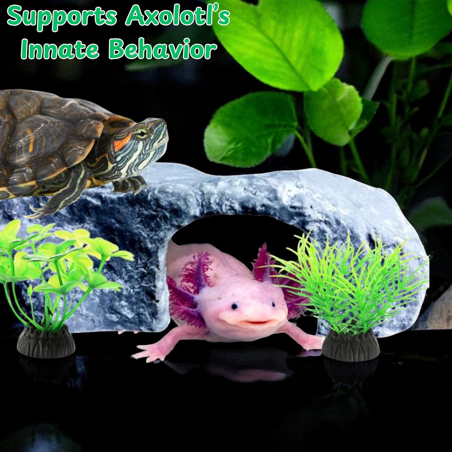 Axolotl Tank Accessories - Aquarium Tortoise Hideout, Hides and Fake Water Plants Set, Cave Plastic Tree, Turtle Hideout, Fish Tank Decor (Stone, M)